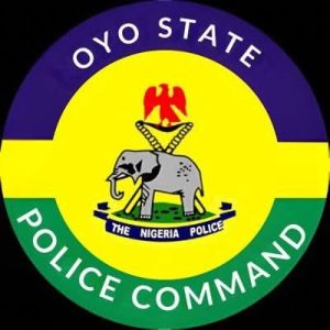 Oyo Abduction: No Schoolchild Died in Captivity — Police