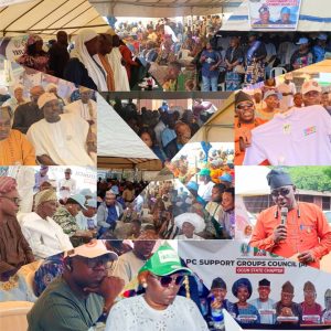 APC Support Groups Council Debuts in Ogun Central With Massive Turnout, Begins Grassroots Mobilisation Ahead 2027 Polls