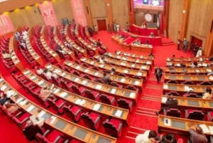 2027: Women Account For Just 9% Of 1,303 Senate Candidates — INEC
